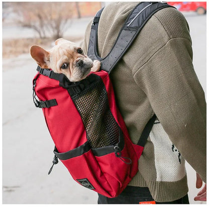transportador para perros