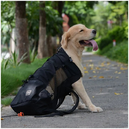 transportador para perros