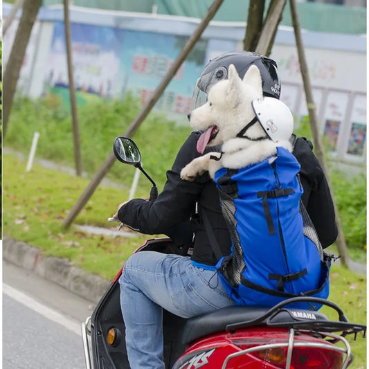 transportador para perros
