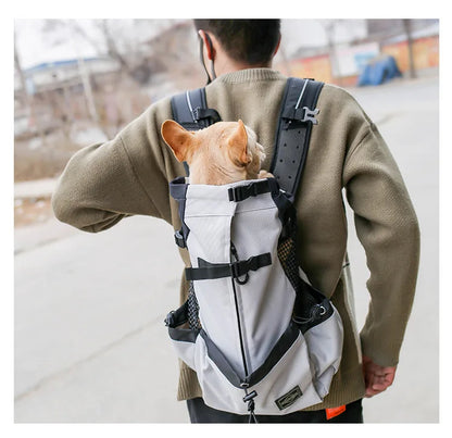 transportador para perros