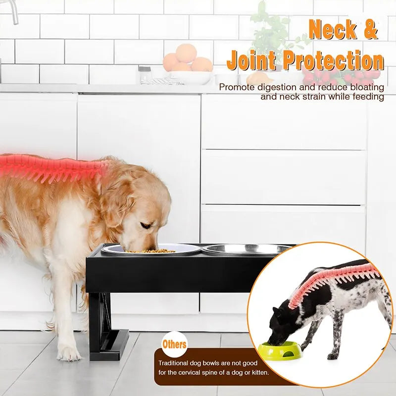 platos elevados para perros