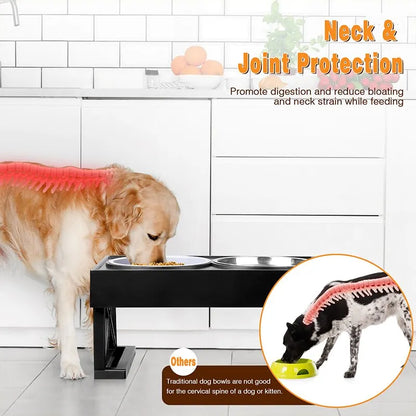 platos elevados para perros