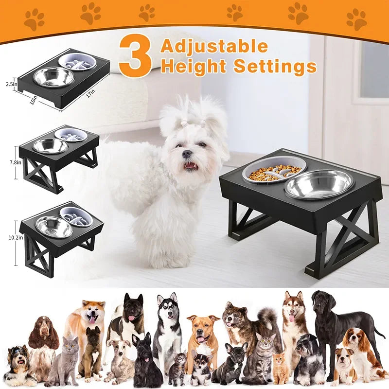 platos elevados para perros