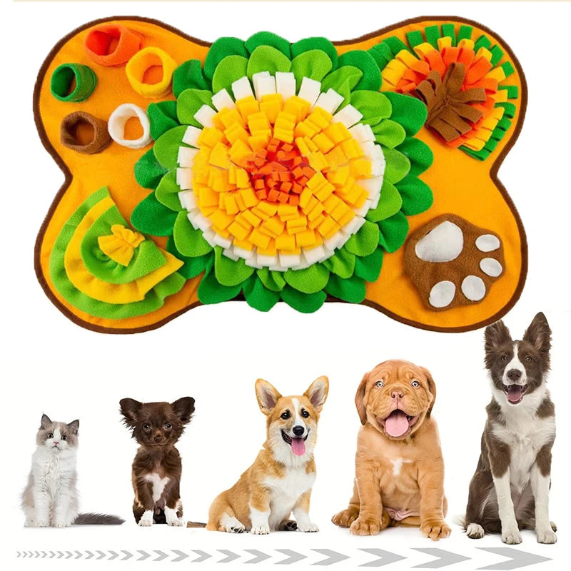 Alfombra interactiva para mascotas