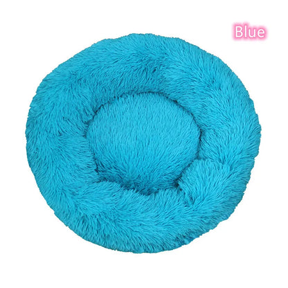 camas para perros