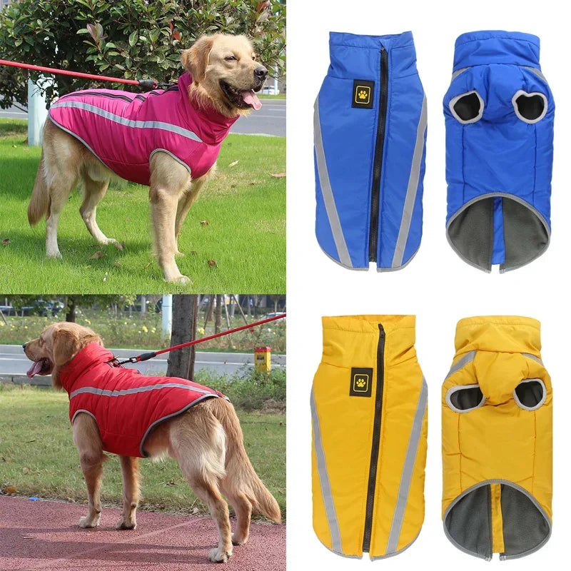 peludo cálidos mascotas