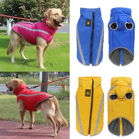 peludo cálidos mascotas