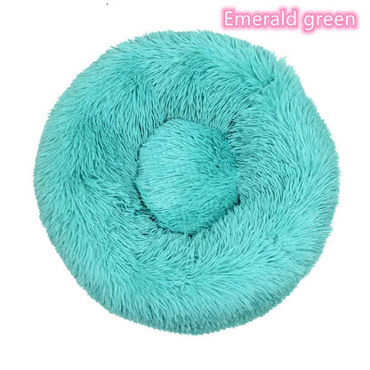 camas para perros