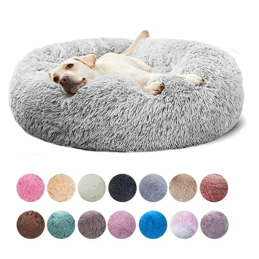 camas para perros