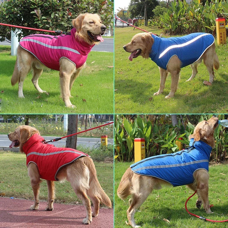 peludo cálidos mascotas