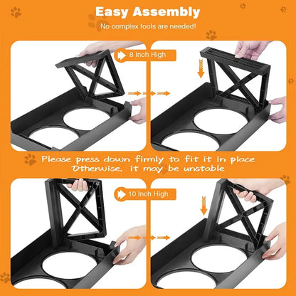 platos elevados para perros